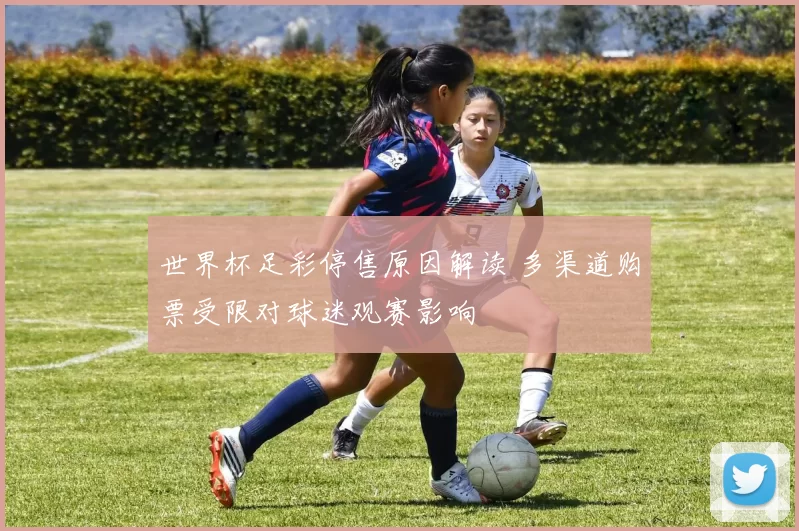 世界杯足彩停售原因解读 多渠道购票受限对球迷观赛影响